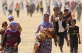 الأمم المتحدة: ايزيديو العراق تعرضوا لـ