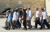 الاحتلال يعتقل مقدسية ونجليها وعشرات المستوطنين يقتحمون باحات الاقصى