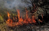 78-230328-algeria-forest-fires-strange-phenomenon_700x400.jpg