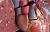 thumb (1).jpg