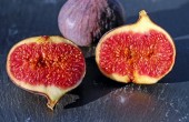 figs-1620590_1920.jpg