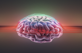 64b6471c42360479b229310e.png