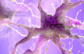 651427344c59b73e021a20f5.png