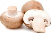 Mushroom640-1.jpg