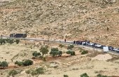 dDWB2.jpg