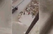 مواجهات بين الشبان وقوات الاحتلال بقرية حزما