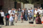 محدث.. مجموعة استيطانية تقتحم باحات المسجد الأقصى