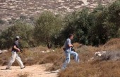 مستوطنون يهاجمون المزارعين ومركبات المواطنين شمال نابلس