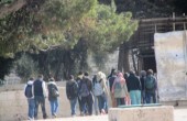 150 مستوطنا يقتحمون ساحات المسجد الأقصى