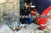 إصابة فلسطينية برصاص الاحتلال في شارع الشهداء بالخليل