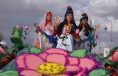مهرجان الورود في 