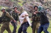 المستوطنون يعتدون على المواطنين في جبل الكربينات بالخليل