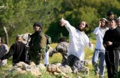 مستوطنون ينصبون الخيام على جبل جويحان بالخليل