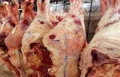 إتلاف 150 طنا من اللحوم المجمدة ومشتقات الألبان في غزة
