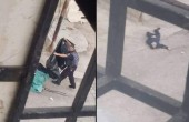 الخليل.. استشهاد شاب برصاص الاحتلال في تل ارميدة
