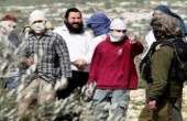 مستوطنون يمنعون أهالي قرية جلبون من قطف الزيتون خلف الجدار