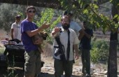 مستوطنون يشرعون بشق طريق التفافي في أراضي بلدة الخضر