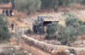 بيت ريما زيتون.jpg-ec0e2ffc-9b40-46b0-b7f4-a0adf7cd6629.jpg