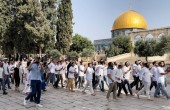 aqsa7.jpg