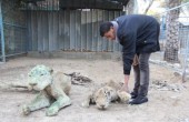 حيوانات... لكنها أرواح أعدمها الجوع في خانيونس