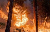 عشرات القتلى والمفقودين جراء حرائق كاليفورنيا