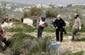 مستوطنون بحماية الاحتلال يعتدون على شاب في الخليل