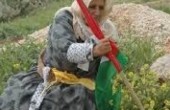 الاحتلال يستغل 85% من مساحة فلسطين المحتلة