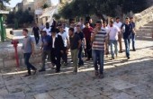 مجموعات من المستوطنين تقتحم باحات الاقصى