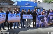 فيديو...وقفات التضامن مع فلسطين اليوم مستمرة ومطالبات للمؤسسات الدولية لحماية الصحفيين ‏‎ - ‎‏ رمزي البيروتي 