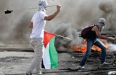 تقرير: 78 شهيداً فلسطينياً وهدم 20 منزلاً ومنشأة منذ بداية العام