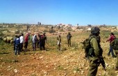 مستوطنون يعتدون على المزارعين في مسافر يطا