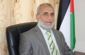 الاحتلال يفرج عن النائب رداد