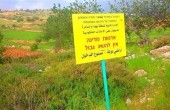 تقرير: ارتفاع حاد في مصادرة الأراضي الفلسطينية بالضفة