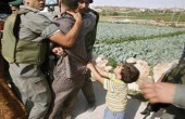 الاحتلال يعتقل 12 مواطنا في الضفة اليوم