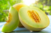 melon-cantaloupe-7.jpg