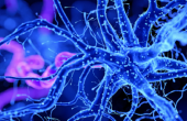 62b9533342360477b92150ae.png