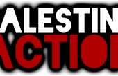 فلسطين أكشن.png