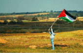 لقطة الشاشة 2023-03-30 112233.png