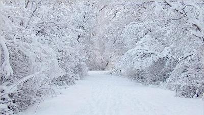 رجل لا يشعر بالبرد أبدا