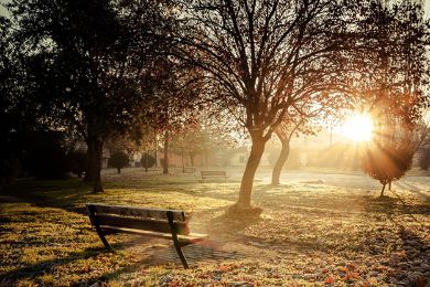 تعرضوا للشمس كي لا تنتحروا 