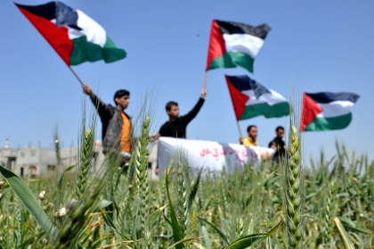  الأجندة المحلية في نشرة صباح  فلسطين