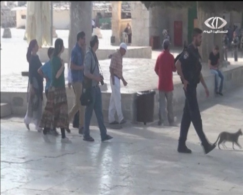 عشرات المستوطنين يقتحمون المسجد الأقصى ويتجولون داخله