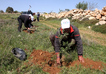 زراعة جنين تحيي ذكرى يوم الأرض