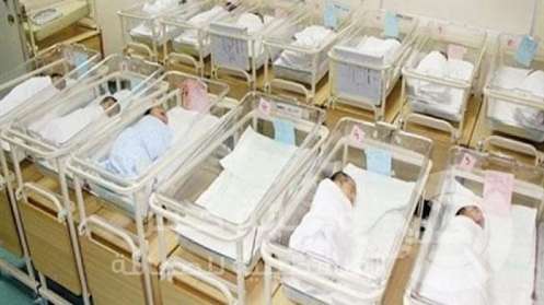 3675 مولوداً جديداً بقطاع غزة خلال أيار الماضي