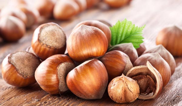 البندق للكولسترول والكاجو للقلب والصنوبر للكلى والزبيب للكبد