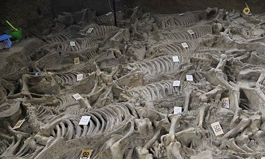 اكتشاف مقبرة عمرها 2400 سنة في الصين