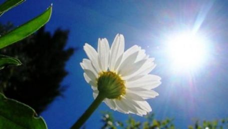 الطقس.. ارتفاع طفيف على درجات الحرارة