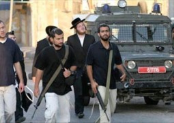IMG_2113-768x432.jpeg