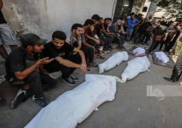 شهداء 13-7.jpg-7155a471-7679-44c1-a073-b70c46f9d2be.jpg