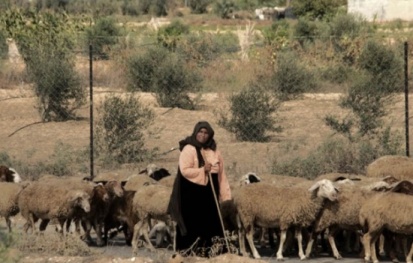 تواصل الجهود لتحسين البيئة في الأغوار المحتلة